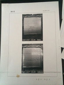 守護城市安全防線 上海防火卷簾門及其核心動力——卷簾門電機的全面解析